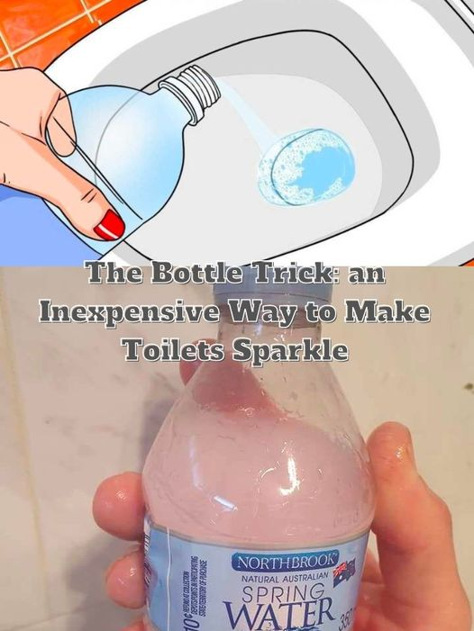 The Bottle Method: A Budget-Friendly Technique for Shiny Toilets