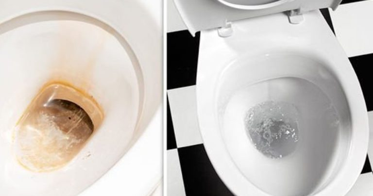 Cleaning the toilet: since I discovered this method it is always white and shiny! I no longer use chemicals!